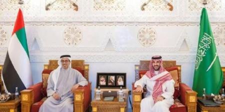 وزير الدفاع السعودي يلتقي منصور بن زايد في الرياض ويبحثان التعاون المشترك