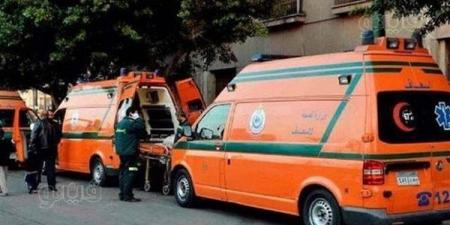 7 مشاهد في مقتل سيدة على يد زوجها بعين شمس، خلافات أسرية تنتهي بطعنات قاتلة