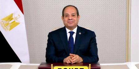 توافق مصري صومالي على تعزيز التنسيق بشأن أمن القرن الأفريقي وباب المندب