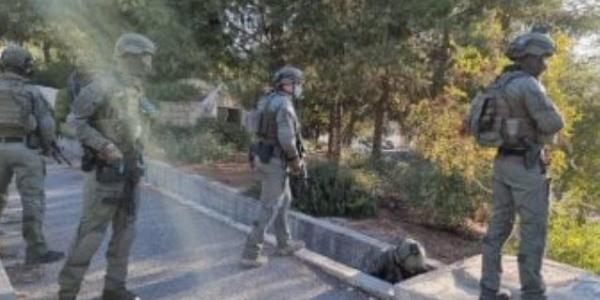 الأمم المتحدة: نزوح أكثر من 36 ألف فلسطينى فى الضفة خلال عام واحد يشكل تهجيرا قسريا