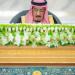 مجلس الوزراء يدين مطالبة الكنيست الإسرائيلي 
بفرض السيطرة على الضفة الغربية والأغوار الفلسطينية المحتلة