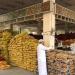معدل
      التضخم
      بأسعار
      الجملة
      في
      السعودية
      يرتفع
      4.6%
      خلال
      شهر
      مايو