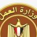 958 فرصة عمل جديدة في 12 محافظة (تفاصيل)
