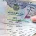 سعر الدرهم الإماراتي مقابل الجنيه في البنك المركزي مساء اليوم الأحد
