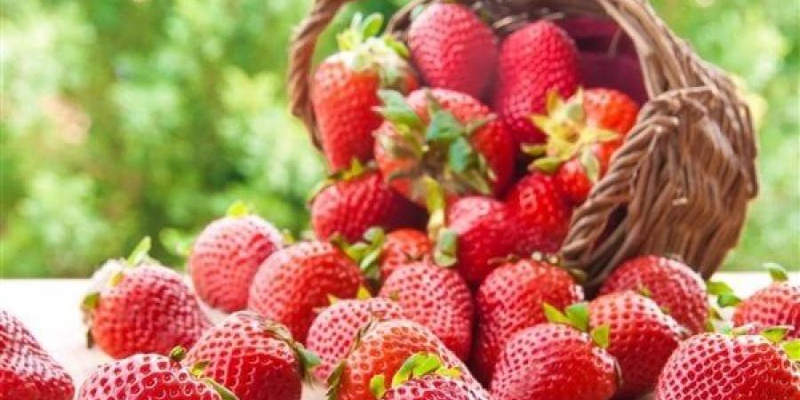 فوائد
      الفراولة
      للحامل،
      للوقاية
      من
      الإمساك
      والحفاظ
      على
      عظام
      ودماغ
      الجنين