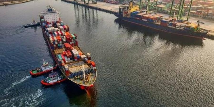 لماذا
      تحتفل
      بعض
      الدول
      بمعدلات
      التعريفات
      الجمركية
      الجديدة؟