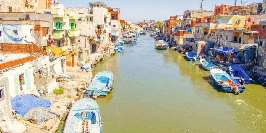 الإسكندرية تفوز بجائزة المدن الذكية