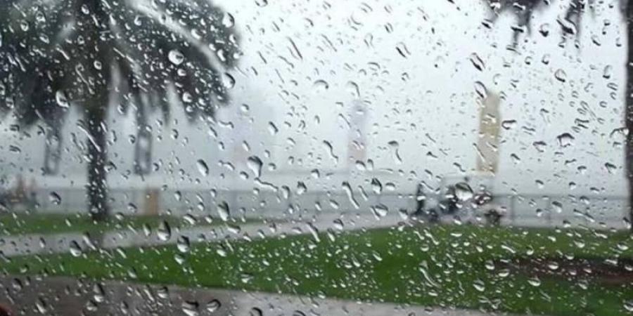 الإمارات.. أمطار على السواحل والجزر اليوم الاثنين