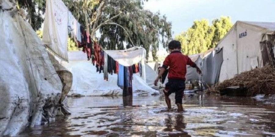 الأمم المتحدة: 17 ألف عائلة في غزة تأثرت بسبب المنخفض الجوي الأخير