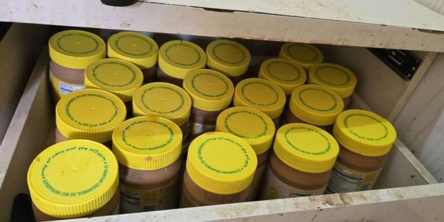 أمانة جدة تغلق مواقع عشوائية وتتلف 5 أطنان من اللحوم والمواد الغذائية الفاسدة