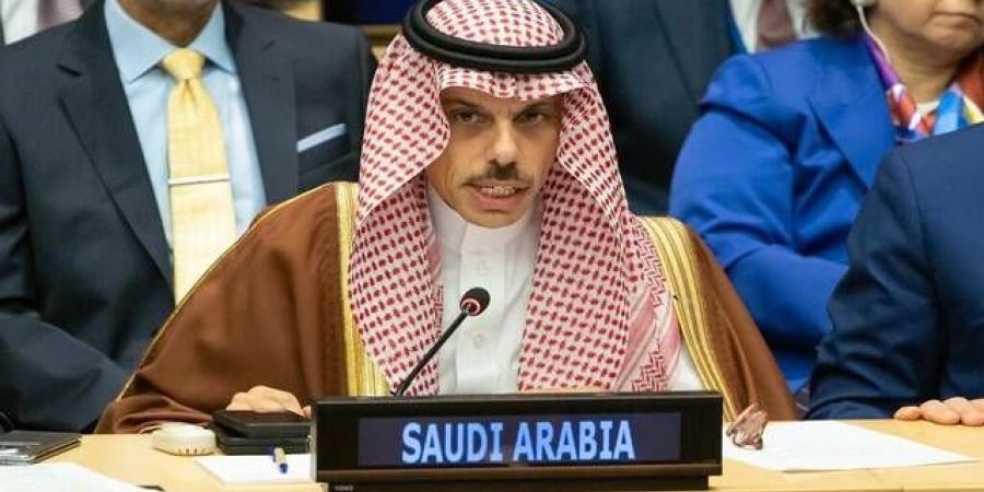 السعودية
      وباكستان
      تبحثان
      تطورات
      الأوضاع
      والتنسيق
      المشترك