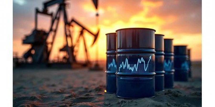 سعر
برميل
النفط
الكويتي
يرتفع
8.25
دولارات
ليبلغ
116.80
دولارا