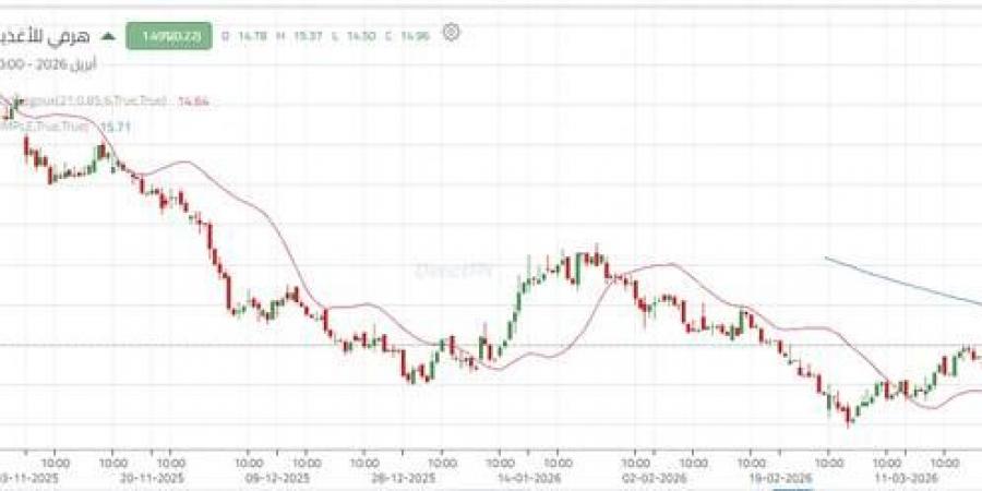 تداولات
      نشطة
      تدفع
      سهم
      "هرفي"
      لمحاولة
      كسر
      الاتجاه
      الهابط