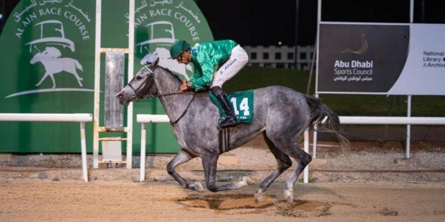 150
      خيلاً
      تتنافس
      في
      ختام
      موسم
      مضمار
      العين
      للفروسية