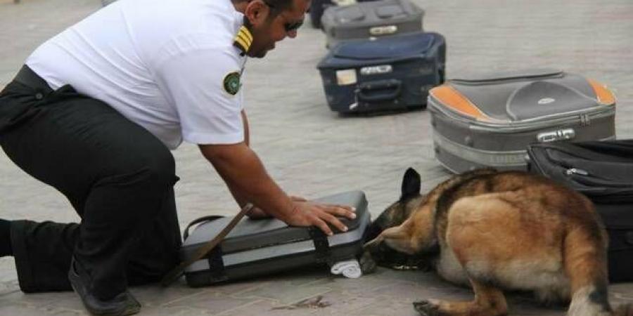 900
      عملية
      ضبط
      في
      المنافذ
      الجمركية
      خلال
      أسبوع..
      أبرزها
      الأسلحة
      والمخدرات