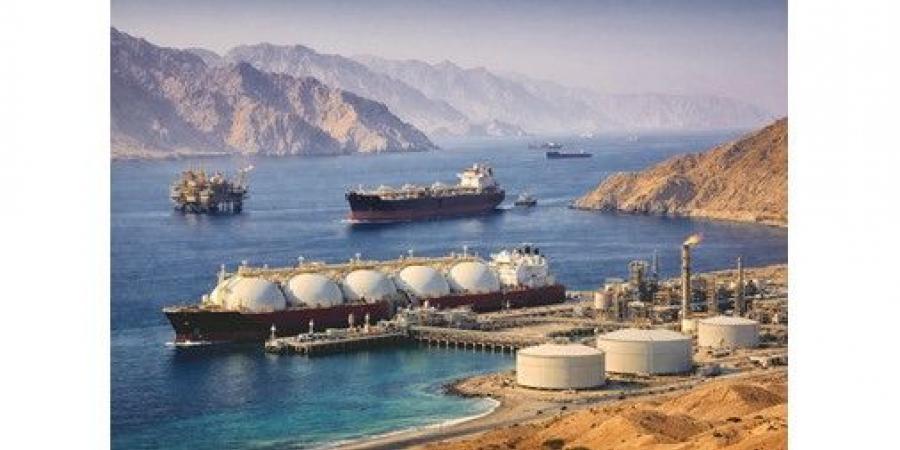 35
مليار
دولار
استثمارات
دول
الخليج
في
مشاريع
الغاز