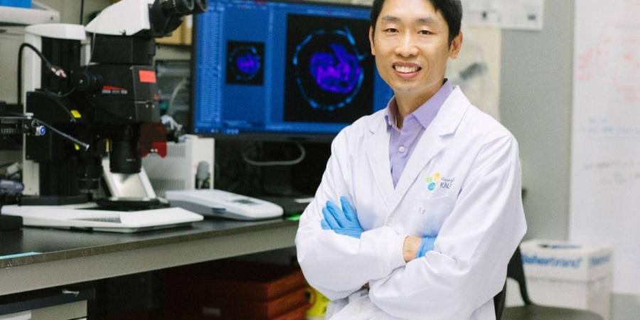 أبحاث الخلايا الجذعية في كاوست تساهم في تعزيز فهم مراحل النمو المبكر للإنسان