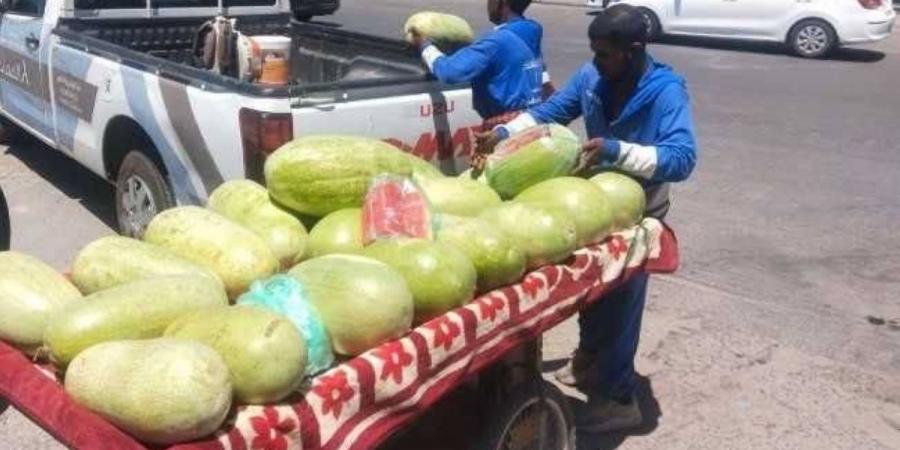 أمانة جدة تضبط 2.8 كجم خضروات وتُصادر بسطات مخالفة بنطاق العزيزية