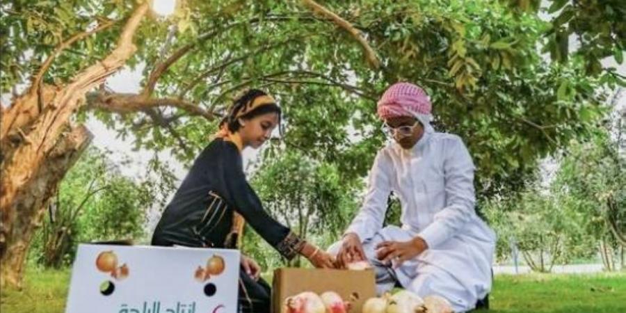 مزارع «رمان الباحة».. إنتاج وفير وفرص تسويق واعدة