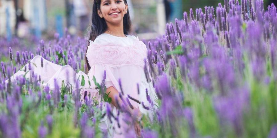 «نبات اللافندر» بالطائف.. يفتح آفاقا استثمارية وسياحية جديدة