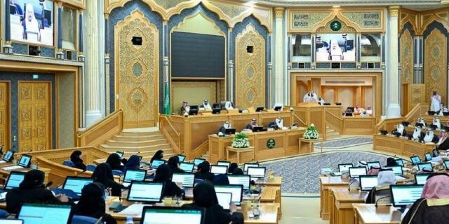 آلية
      لتسعير
      الطروحات..
      أعضاء
      بالشورى
      يوجهون
      مطالبات
      لهيئة
      السوق
      المالية