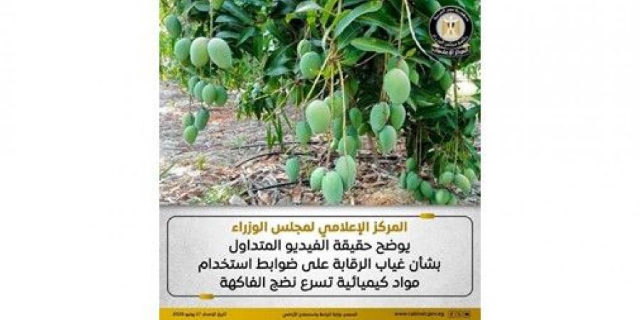 الحكومة
توضح
حقيقة
فيديو
يزعم
غياب
الرقابة
على
استخدام
مواد
كيميائية
بالفاكهة