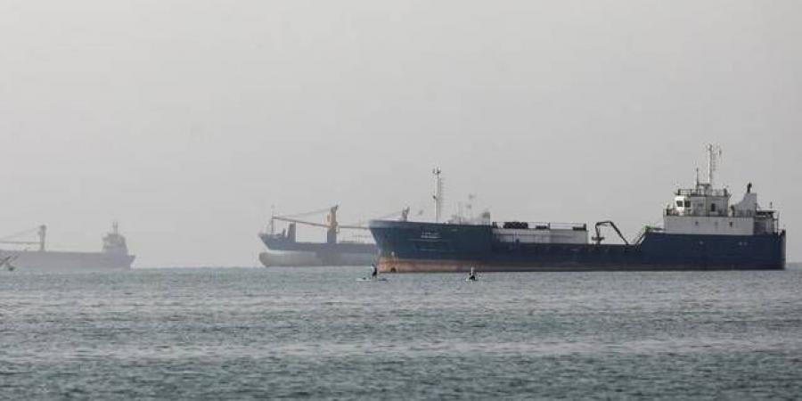 "غولدمان
      ساكس":
      تعافي
      الملاحة
      في
      مضيق
      هرمز
      لن
      يتجاوز
      70%