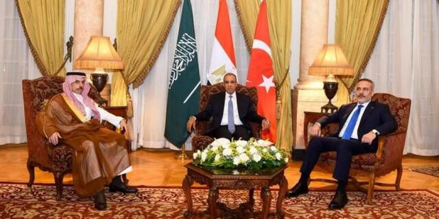 وزراء
      خارجية
      مصر
      والسعودية
      وتركيا
      يبحثون
      تطورات
      غزة
      والسودان
      وليبيا
      وإيران