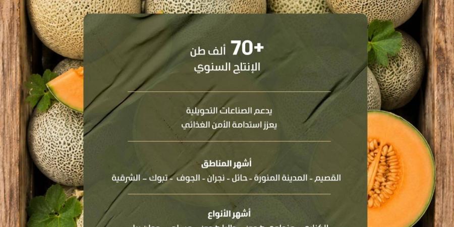 بإنتاج يتجاوز 70.5 ألف طن.. الشمام المنتج محليا يغذي أسواق المملكة بأجود الأصناف