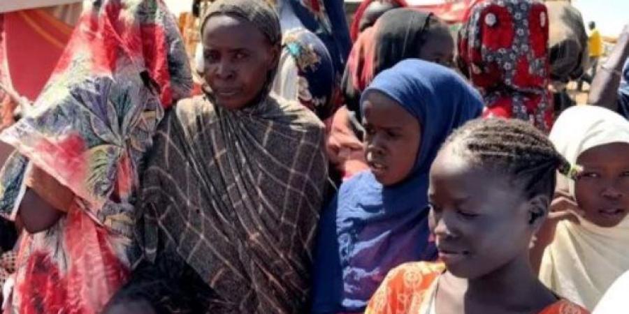 مسعد بولس: على أطراف النزاع فى السودان قبول هدنة إنسانية خطوة أولى نحو سلام دائم