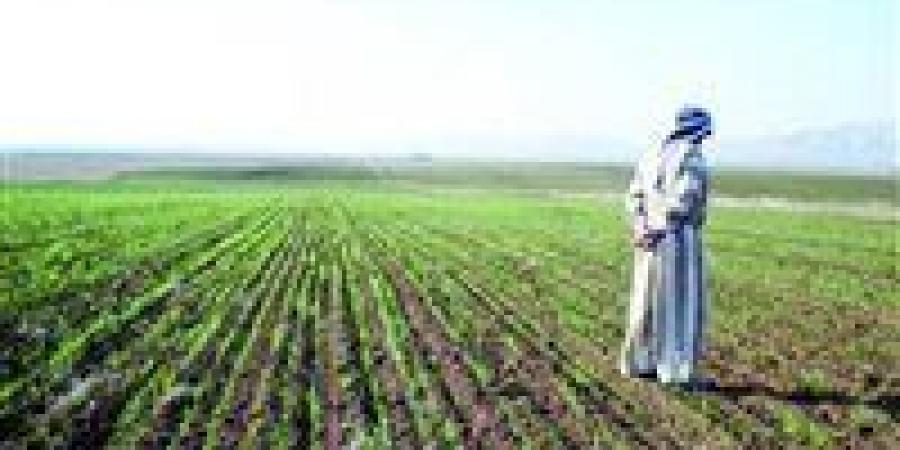 "الزراعة" تستعرض جهودها في دعم المزارعين وتحقيق الأمن الغذائي خلال الاسبوع الثالث من سبتمبر الجاري