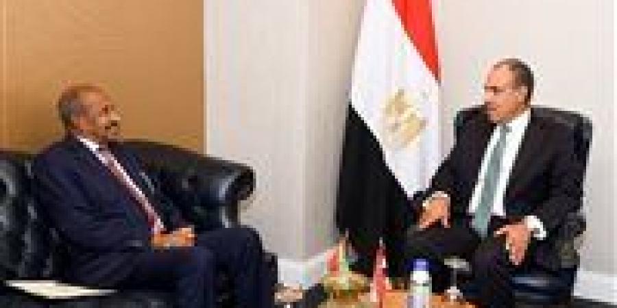 وزير الخارجية ونظيره الإريتري يبحثان سبل تعزيز العلاقات الثنائية والتنسيق إزاء القضايا الإقليمية