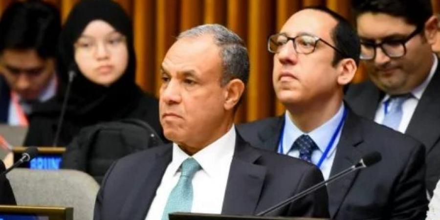 وزير الخارجية يشارك فى الاجتماع الوزارى للتحالف العالمى لتنفيذ حل الدولتين