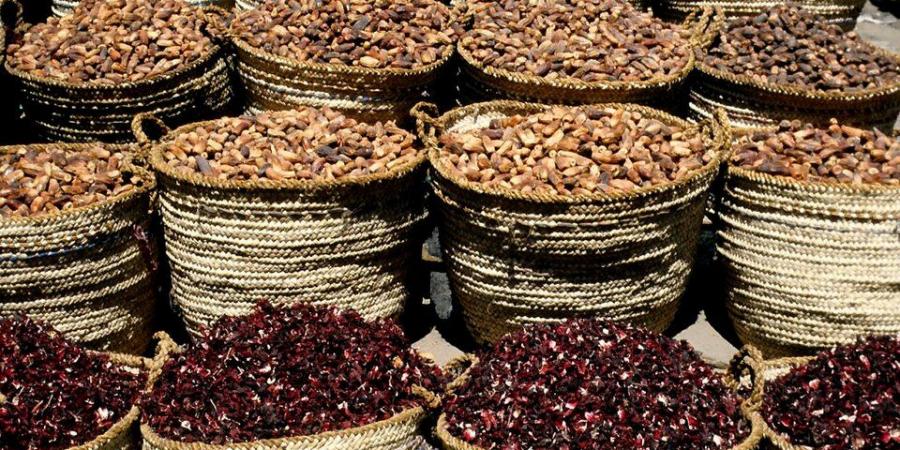 شعبة الفاكهة: انخفاضات تصل لـ 50% في أسعار البلح والتمور