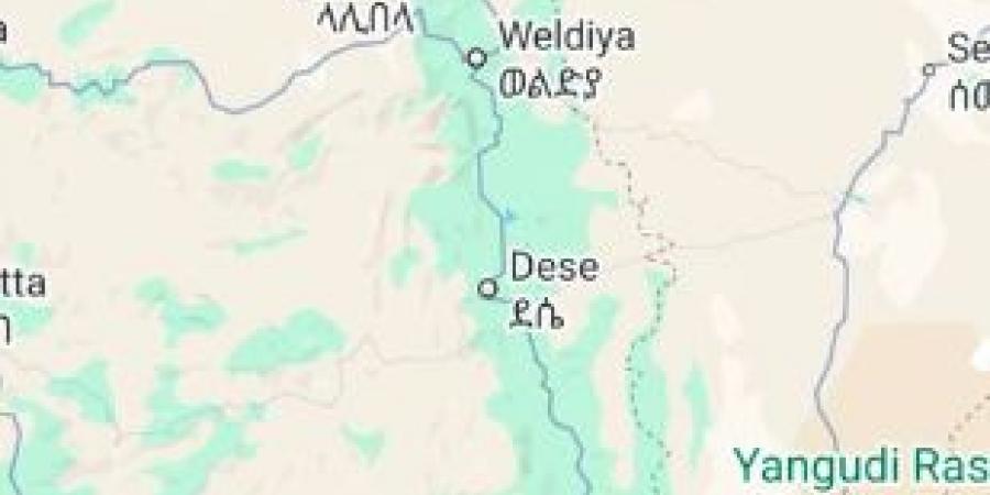احتدام المعارك في إثيوبيا، المعارضة تستولي على مدينة استراتيجية للجيش الإثيوبي والمخاوف تصل أديس أبابا (فيديو)