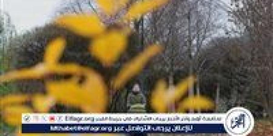 الأرصاد تكشف حالة الطقس حتى الخميس 1 أكتوبر 2026.. أمطار وشبورة ونشاط رياح