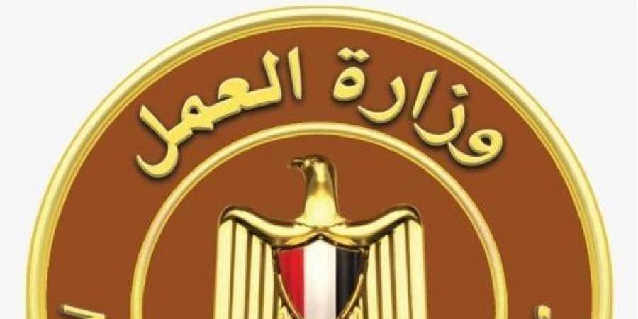 958 فرصة عمل جديدة في 12 محافظة (تفاصيل)