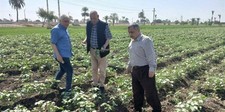 محمود عطا لـ «فيتو»: الإرشاد الزراعي مات والجمعيات الزراعية خرجت من الخدمة
