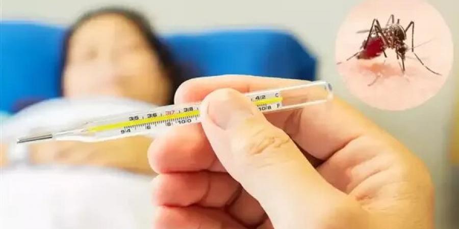 عدد الحالات وصل إلى مستوى قياسي، رفع حالة الطوارئ في فلوريدا بعد تفشي حمى الضنك