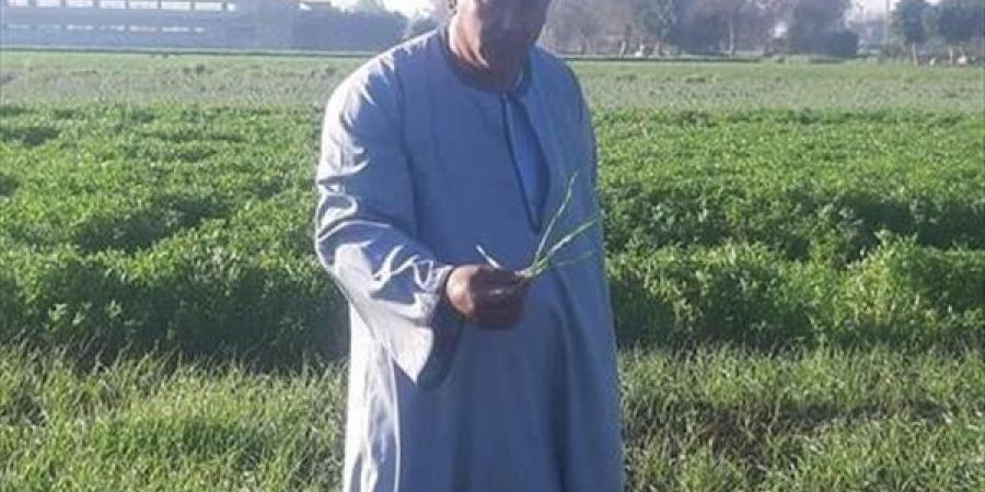 أحسن فلاح في مصر يحذر: بنخسر سنويا بعد رفع الدولة إيديها عن الفلاح ومش هزرع أرضي تاني