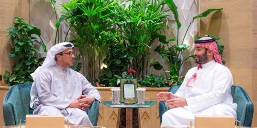 ولي العهد السعودي يلتقي نائب رئيس الإمارات الشيخ منصور بن زايد آل نهيان في الرياض