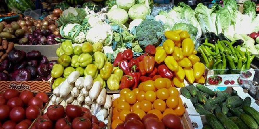 سعر الخضار اليوم، ارتفاع الخيار والبصل والباذنجان وانخفاض الثوم 5 جنيهات