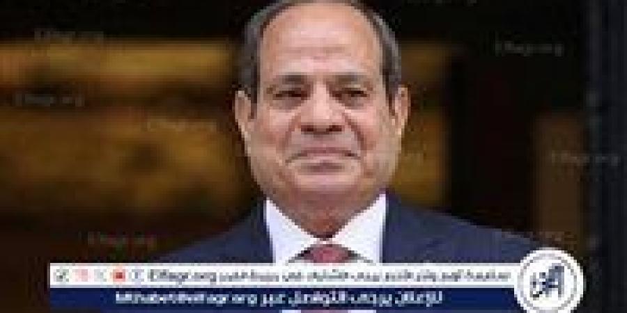 السيسي يحذر من استخدام مواقع التواصل للإضرار بالدولة