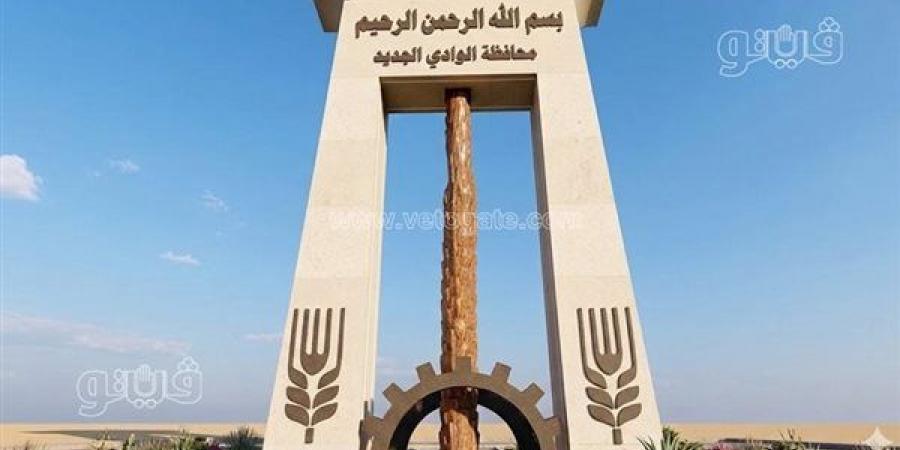ضمن مبادرة أطفالنا بلا سمنة، شباب الوادي الجديد تنفذ تدريبات رياضية وصحية للأطفال