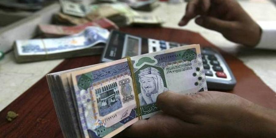 عدم انتهاء مراجع الحسابات يؤجل نشر النتائج المالية لـ"نقاوة" و"أمواج الدولية"