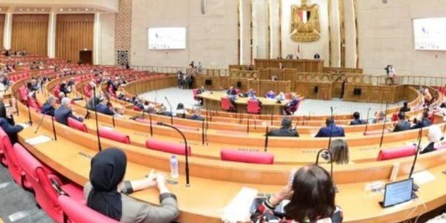 مجلس النواب يوافق من حيث المبدأ على تأجيل تطبيق قانون الإجراءات الجنائية إلى أكتوبر 2027