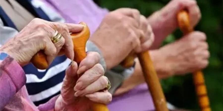 في يومهم العالمي، كيف تعامل الإسلام مع كبار السن؟ الإفتاء توضح