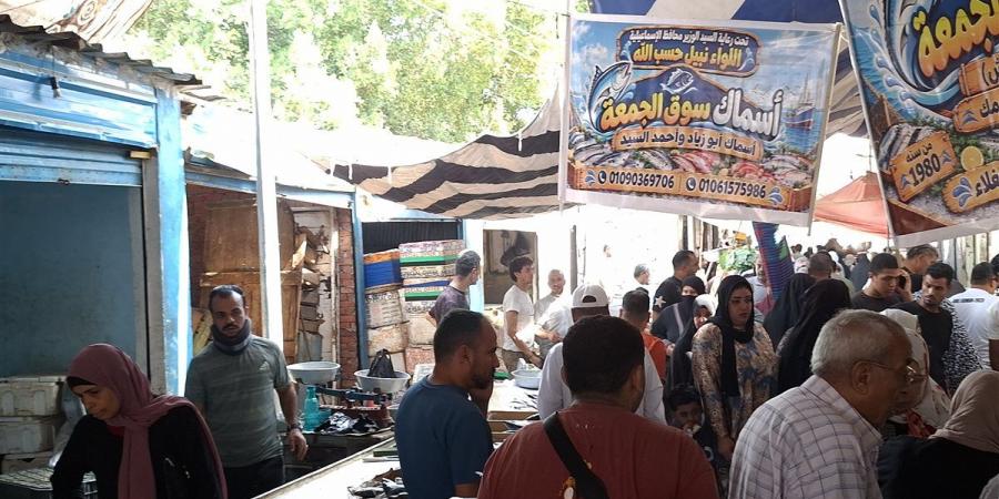 40 جنيها للكيلو، مبادرة لبيع الأسماك بأسعار مخفضة للمواطنين بالإسماعيلية (فيديو وصور)