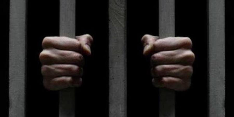 حبس شخص بتهمة الاتجار في القطع الأثرية بكرداسة