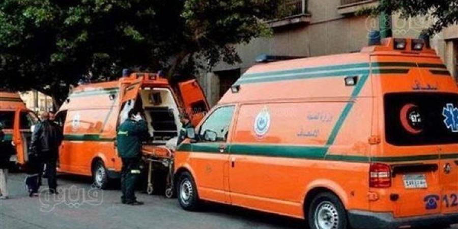 7 مشاهد في مقتل سيدة على يد زوجها بعين شمس، خلافات أسرية تنتهي بطعنات قاتلة